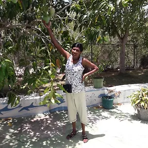 Paradise Place , Discovery Bay Jamaica